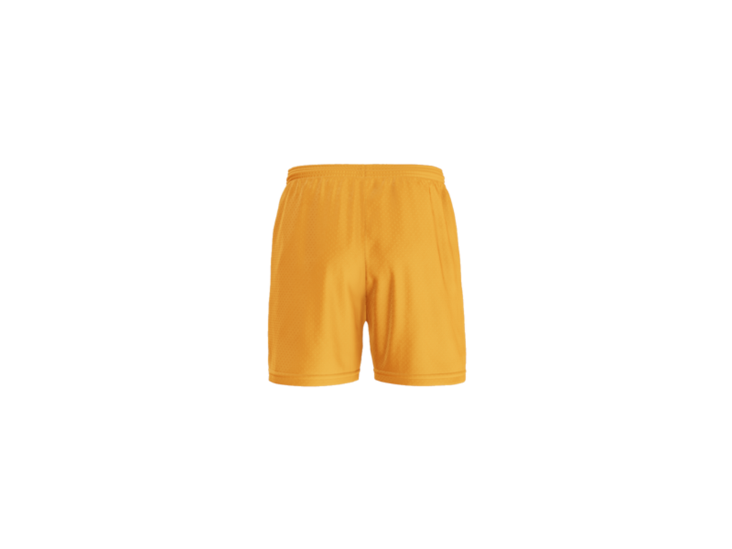 Abbeville Mesh Shorts