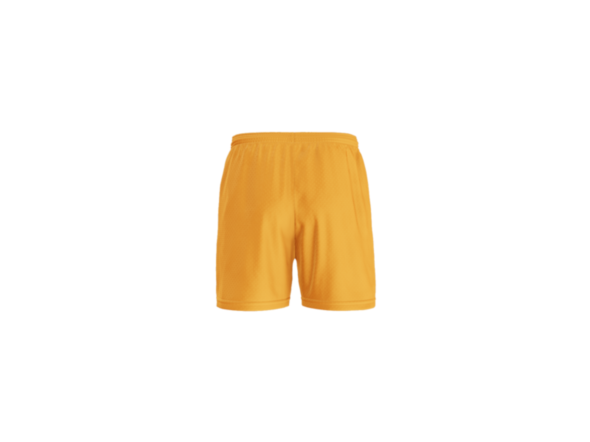 Abbeville Mesh Shorts
