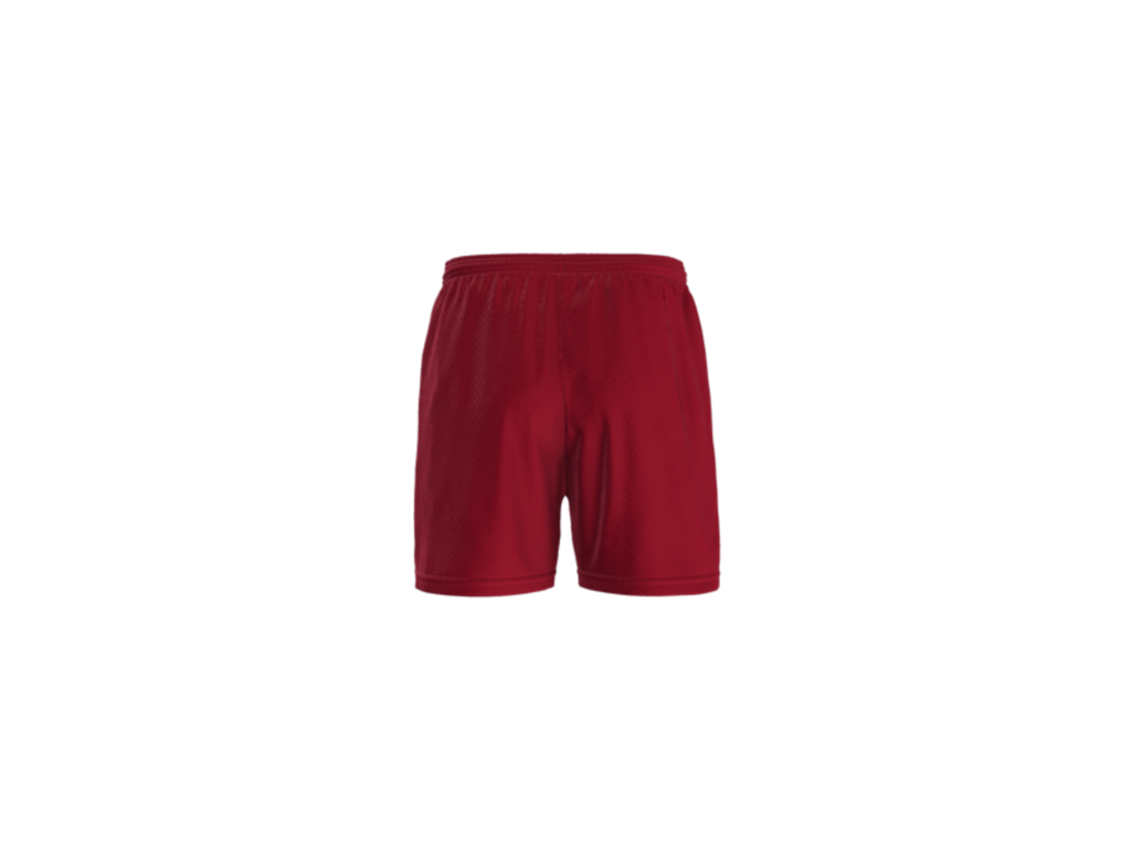 Abbeville Mesh Shorts