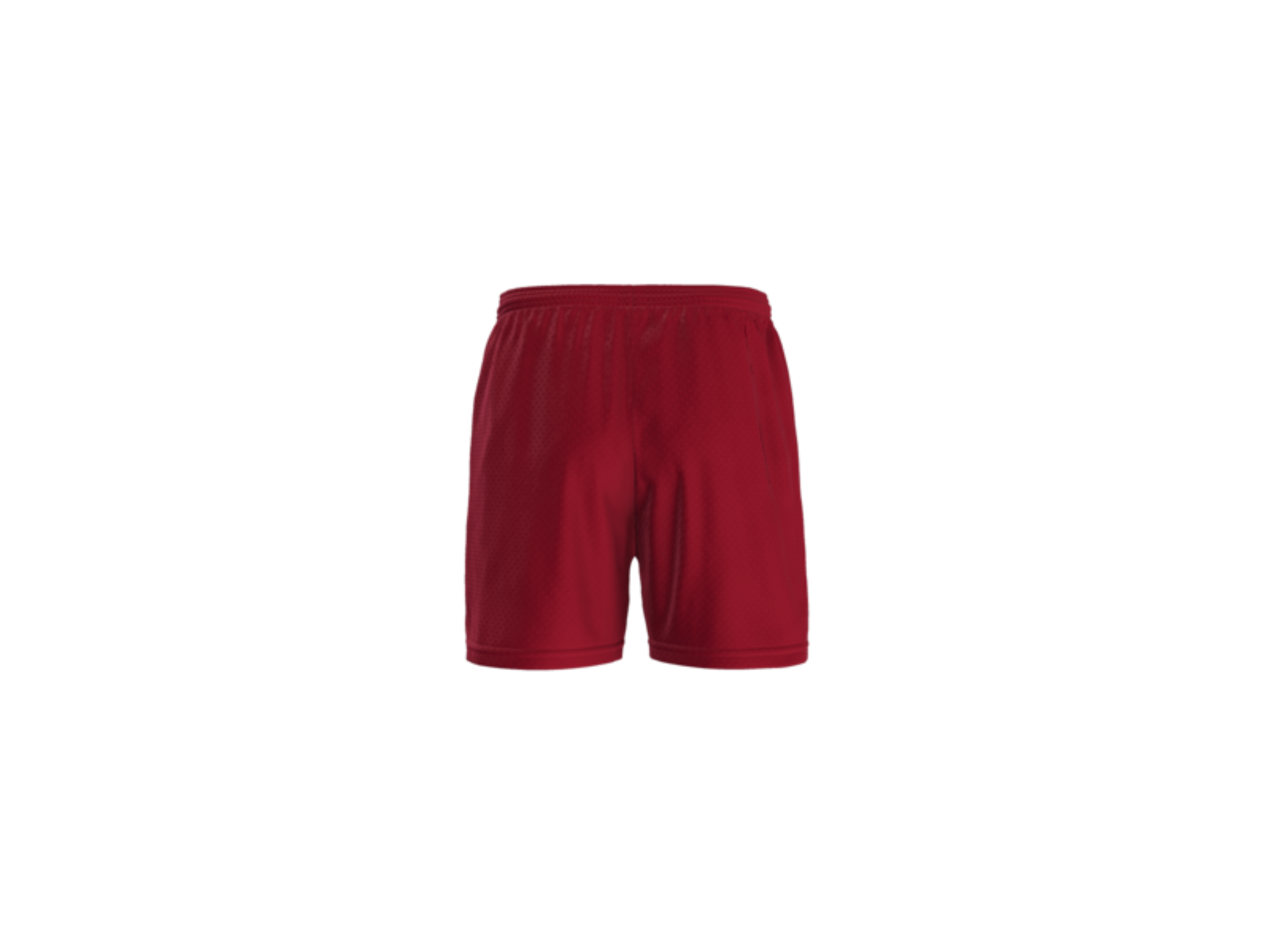 Abbeville Mesh Shorts