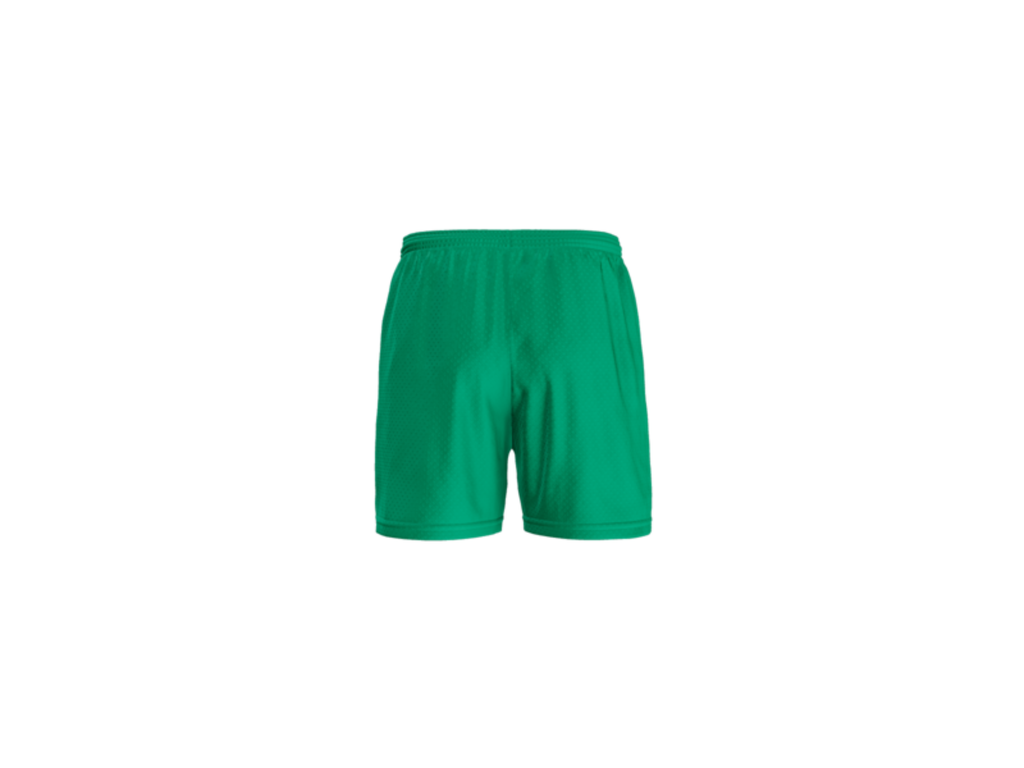 Dixie Mesh Shorts