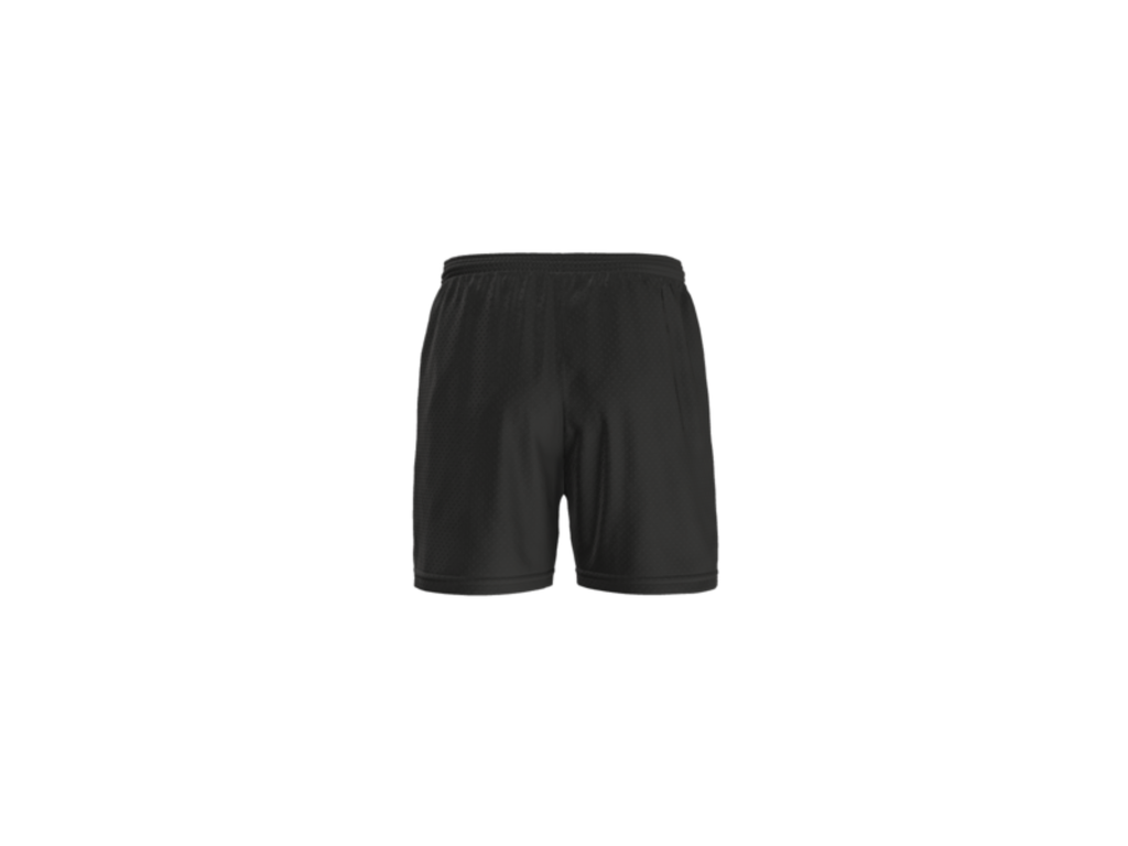Dixie Mesh Shorts
