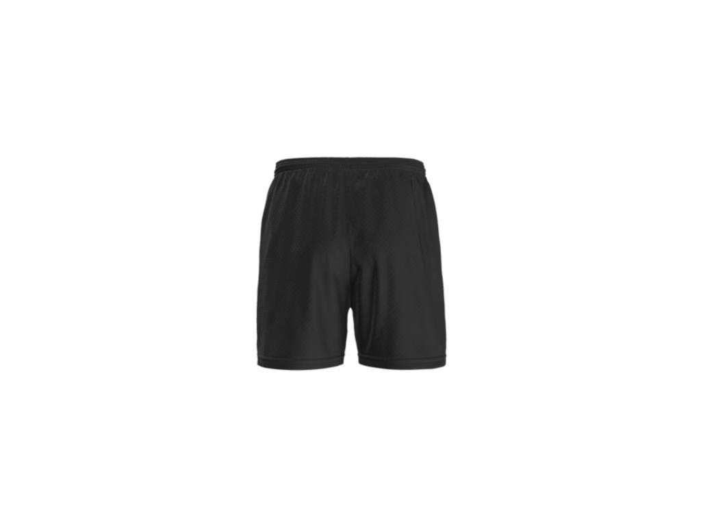 Gaffney Mesh Shorts