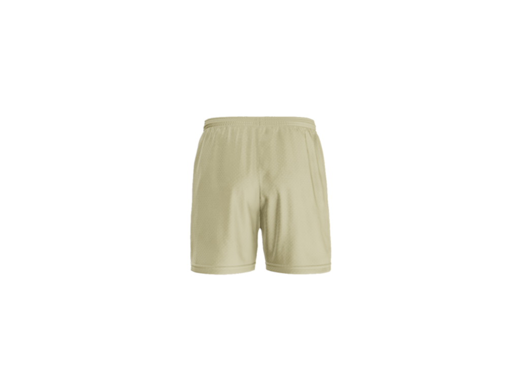 Gaffney Mesh Shorts
