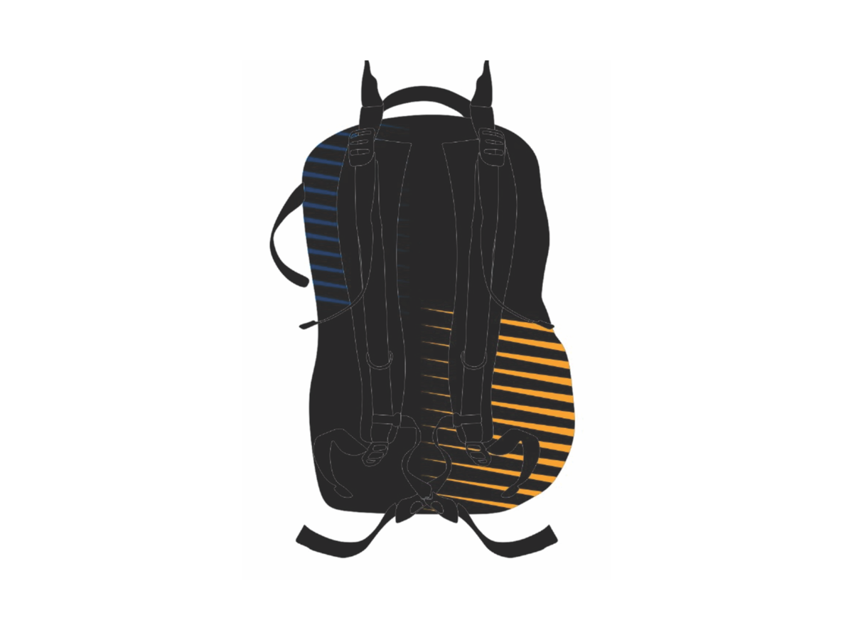 PAL Livewire bag