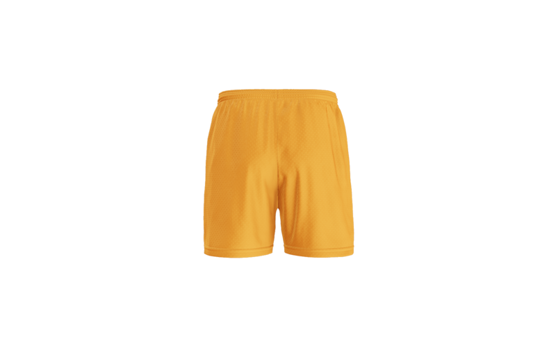 Wrestler Premium Bundle